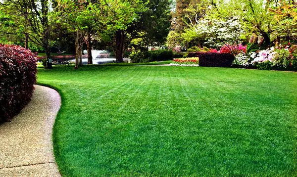 Biweekly Lawn Care Service