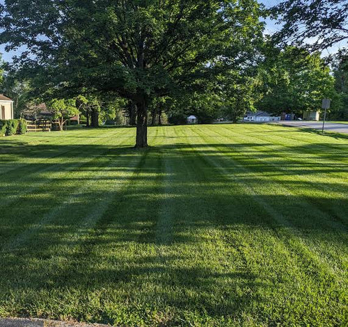 Monthly Lawn Care Service