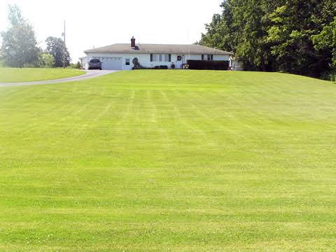 Weekly Lawn Care Service