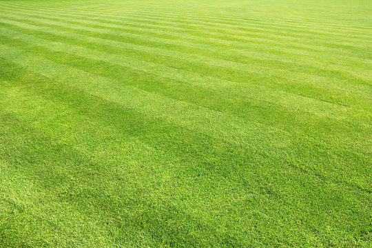 Complete Lawn Care package