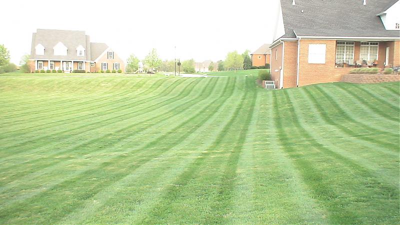 Weekly Lawn Mowing Service