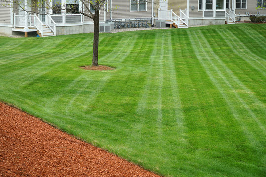 Complete Lawn Care package