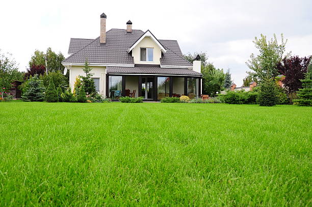One Time Lawn Mowing Service